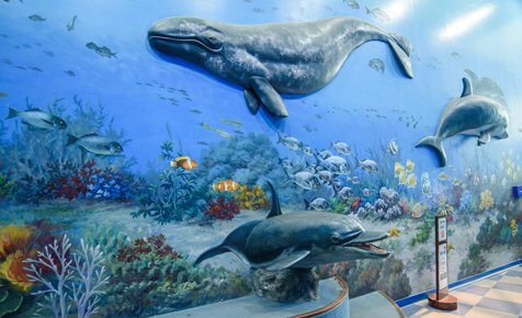 Jangsaengpo Whale Ecological Experience Center