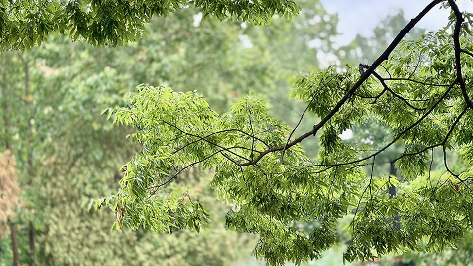 경기상상캠퍼스