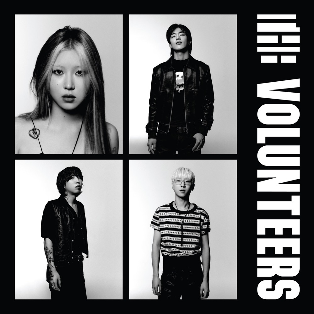 The Volunteers - Nicer