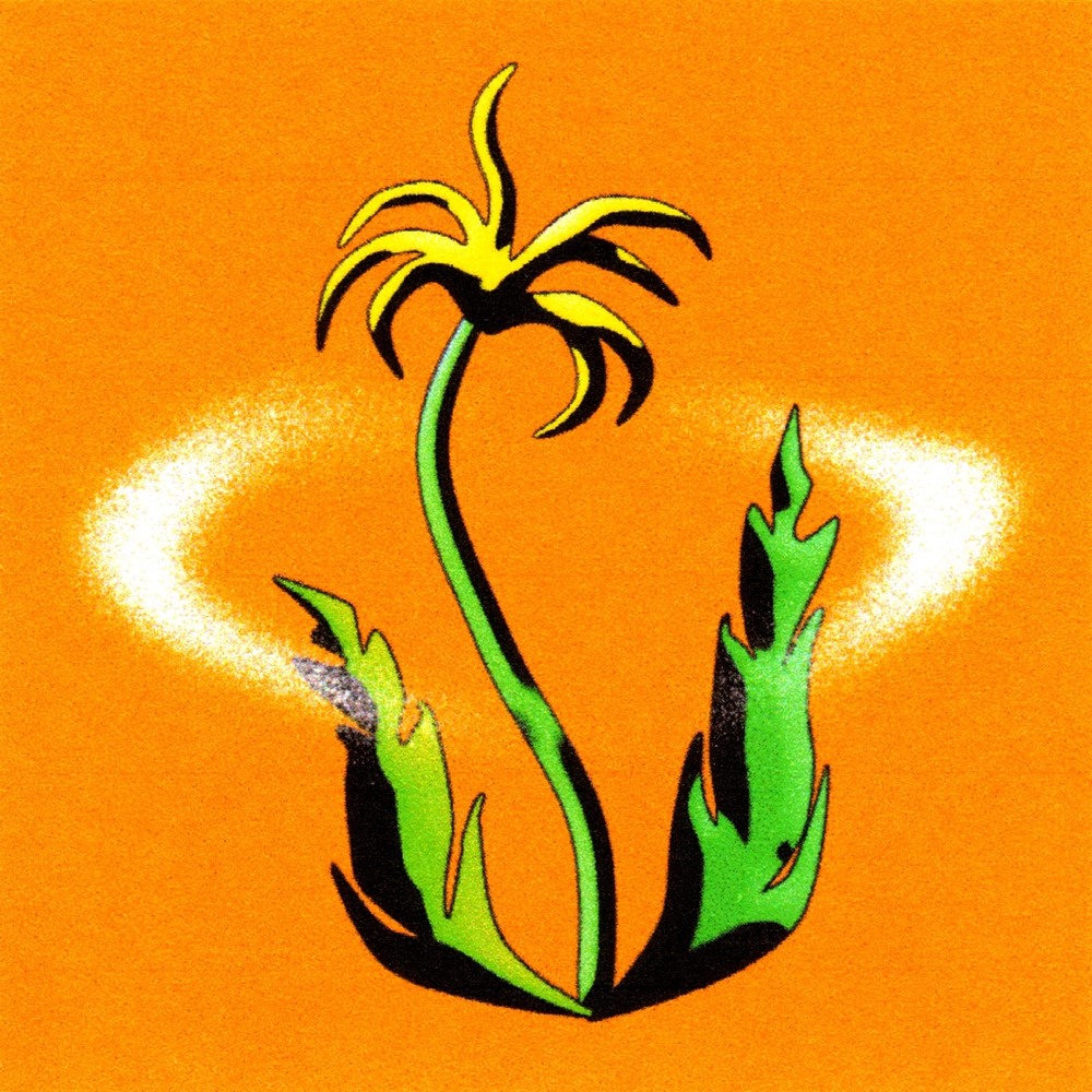 The Volunteers - New Plant