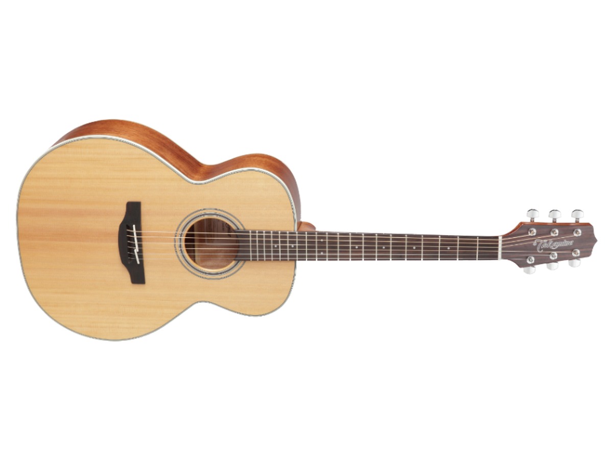 Takamine GN20