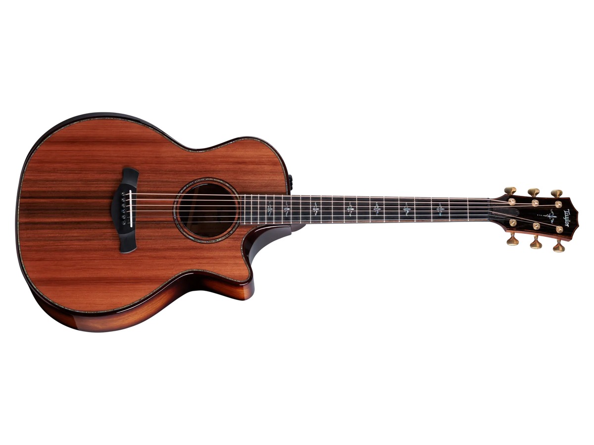 Taylor Builder's Edition 914ce