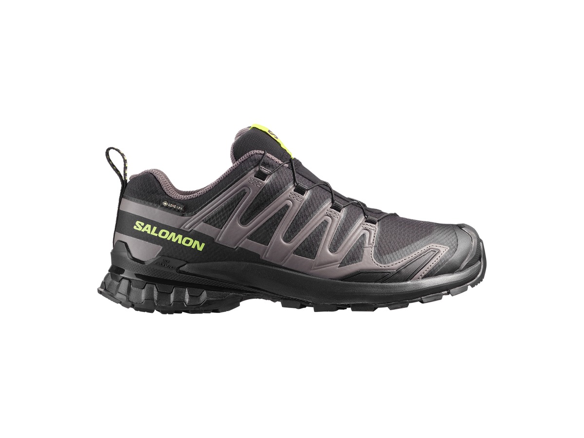 Salomon XA Pro 3D V9 GTX