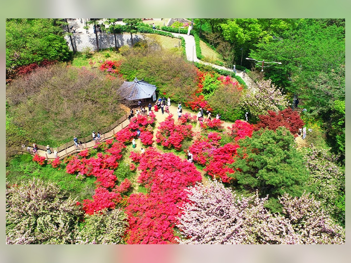 완산칠봉꽃동산
