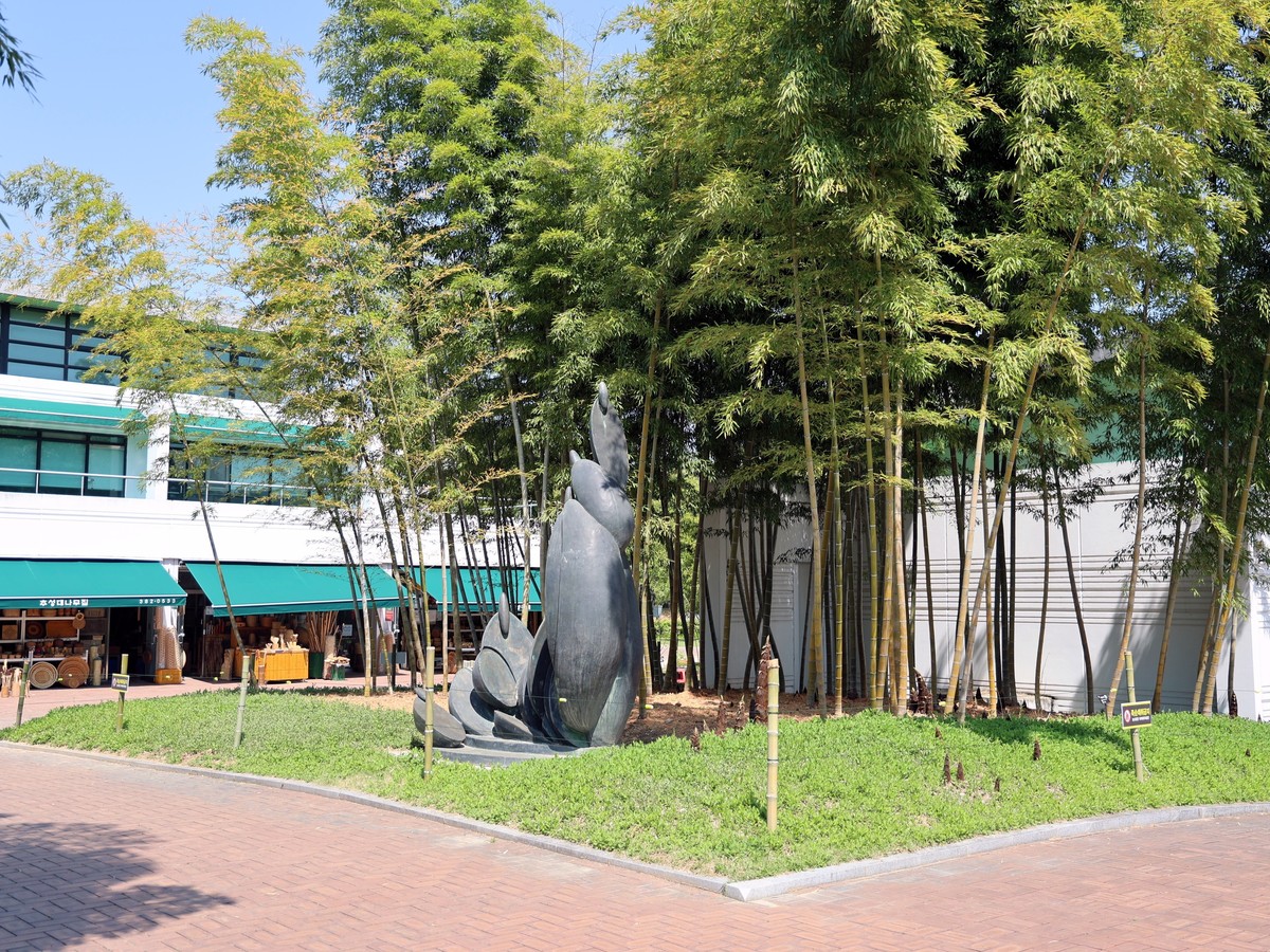 한국대나무박물관