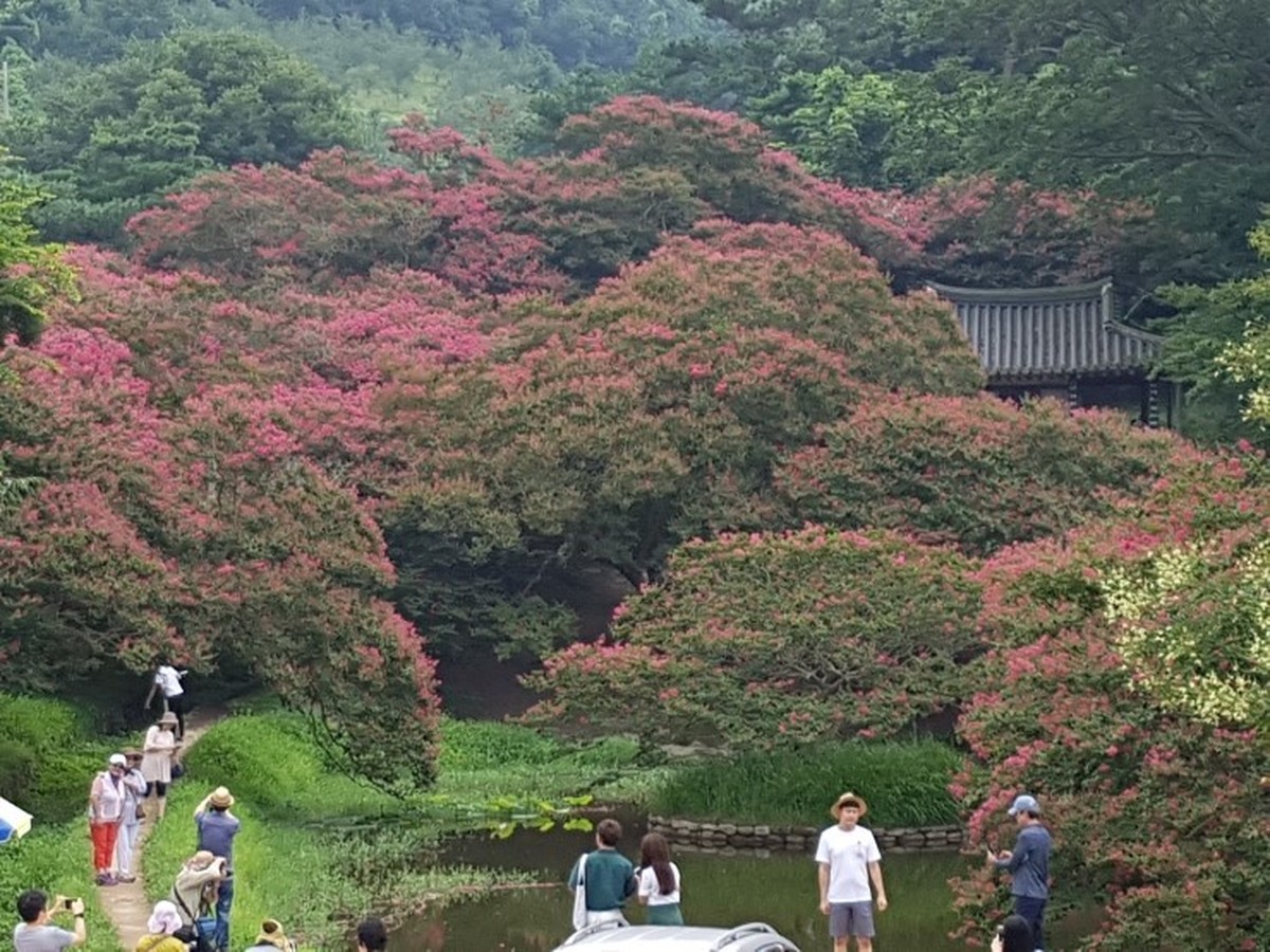 명옥헌원림