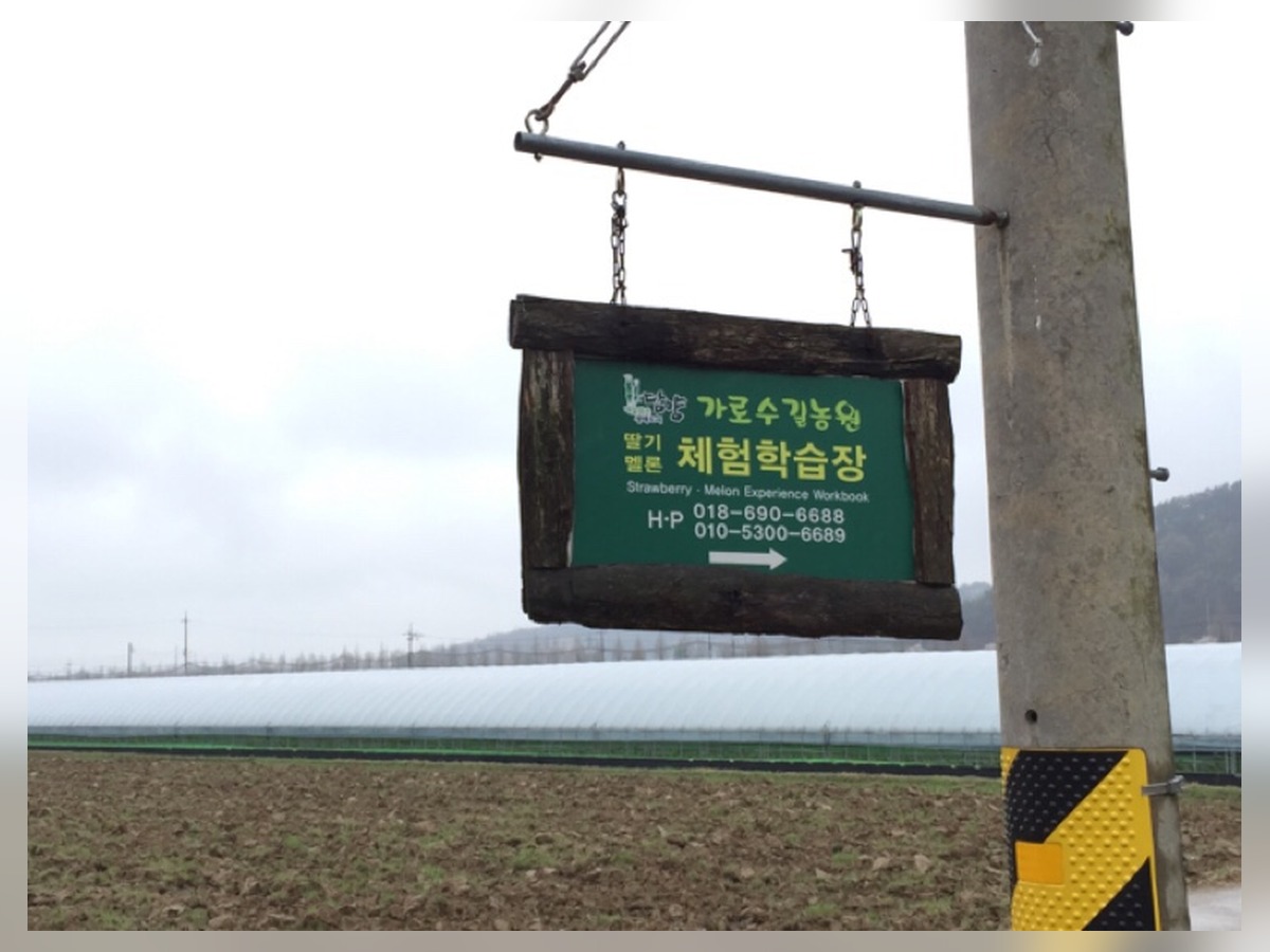 가로수길농원
