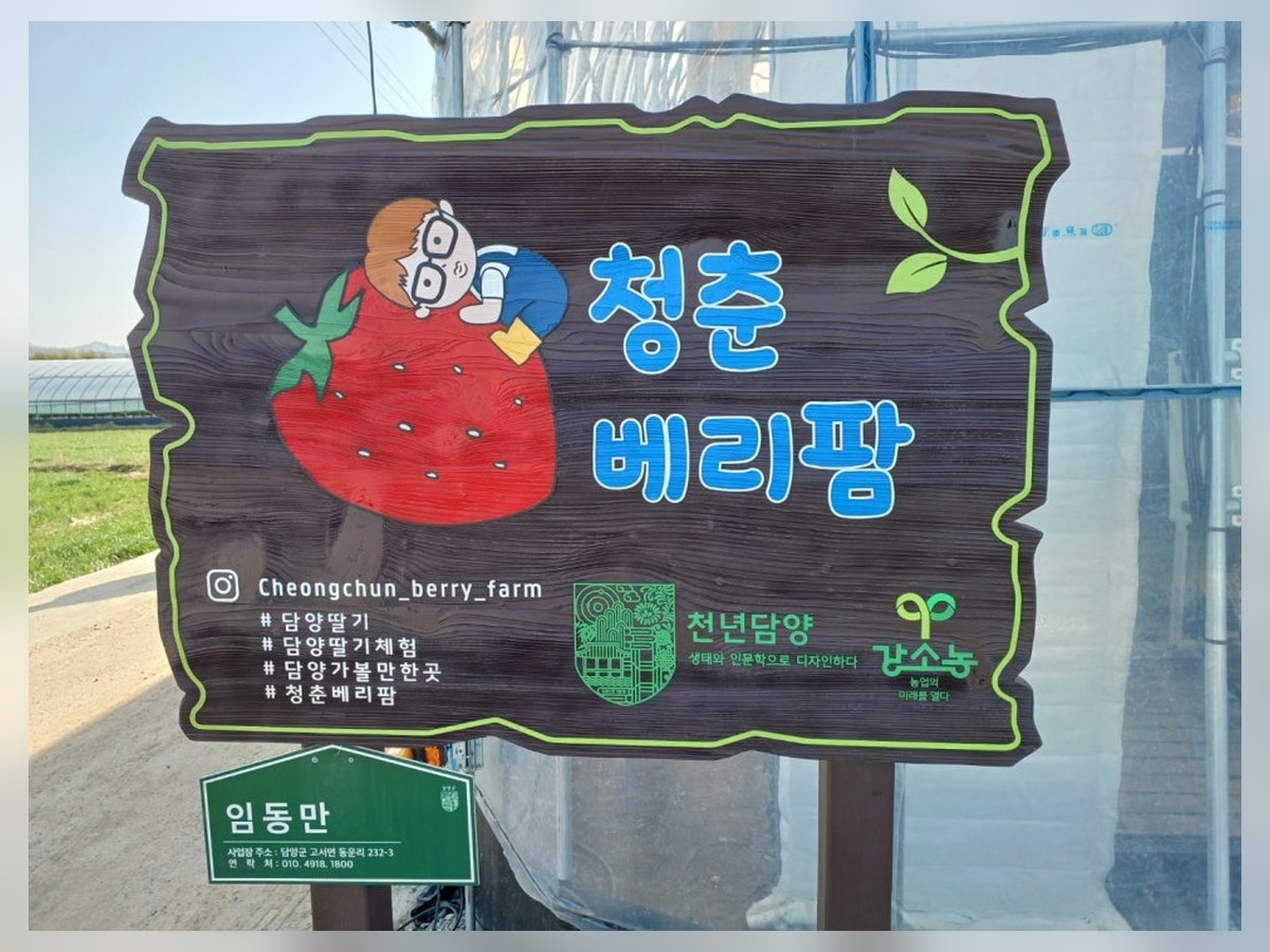 청춘베리팜