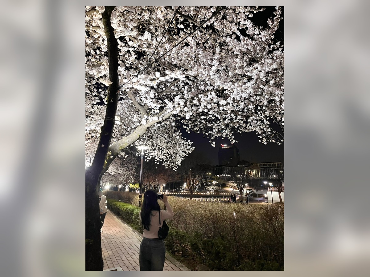 경북대학교 일청담