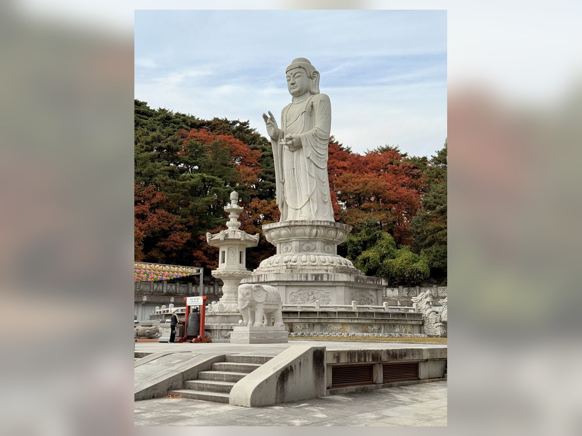 동화사
