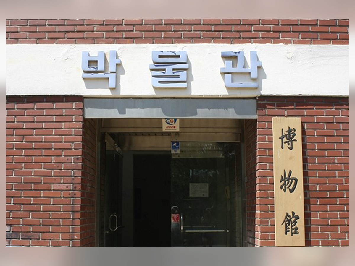 신라대학교 박물관
