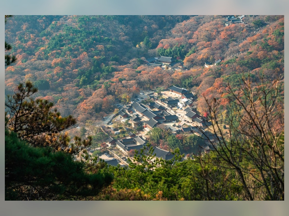 범어사