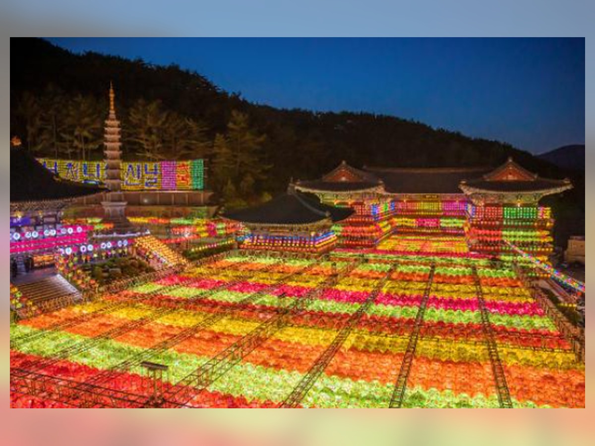 삼광사