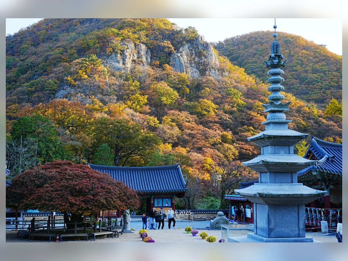 장안사