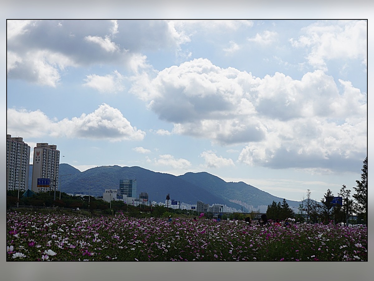 삼락생태공원