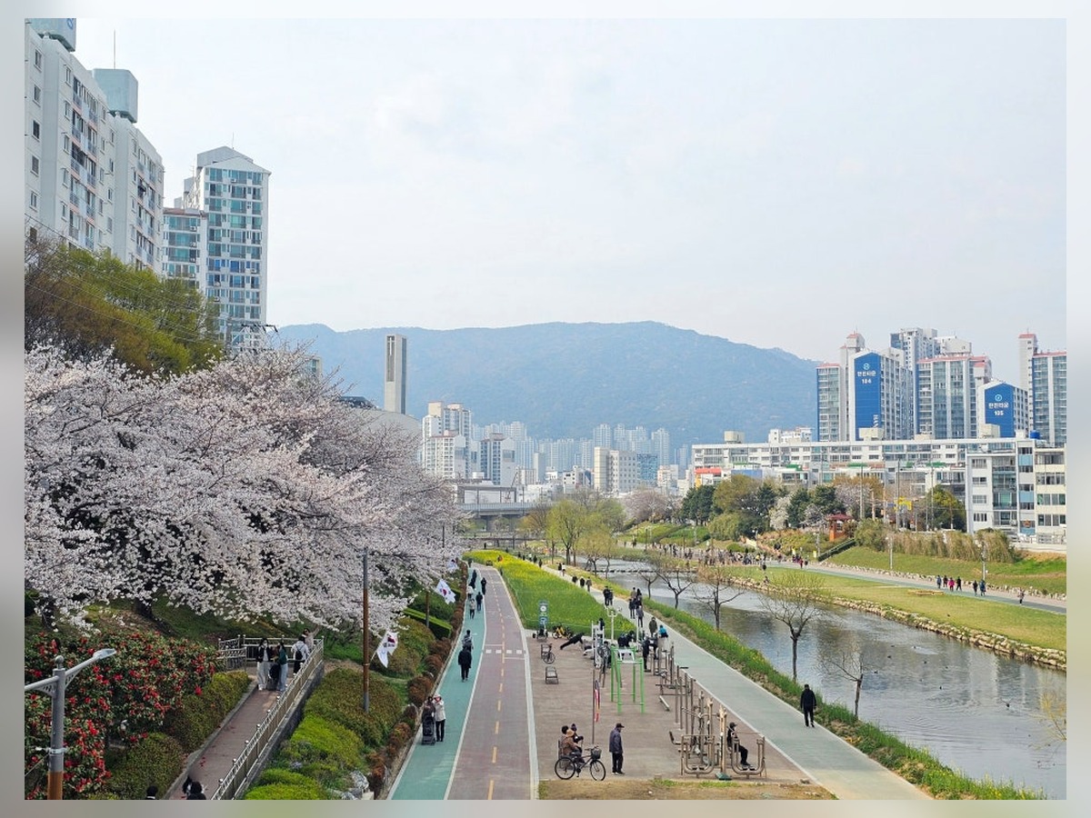 온천천시민공원