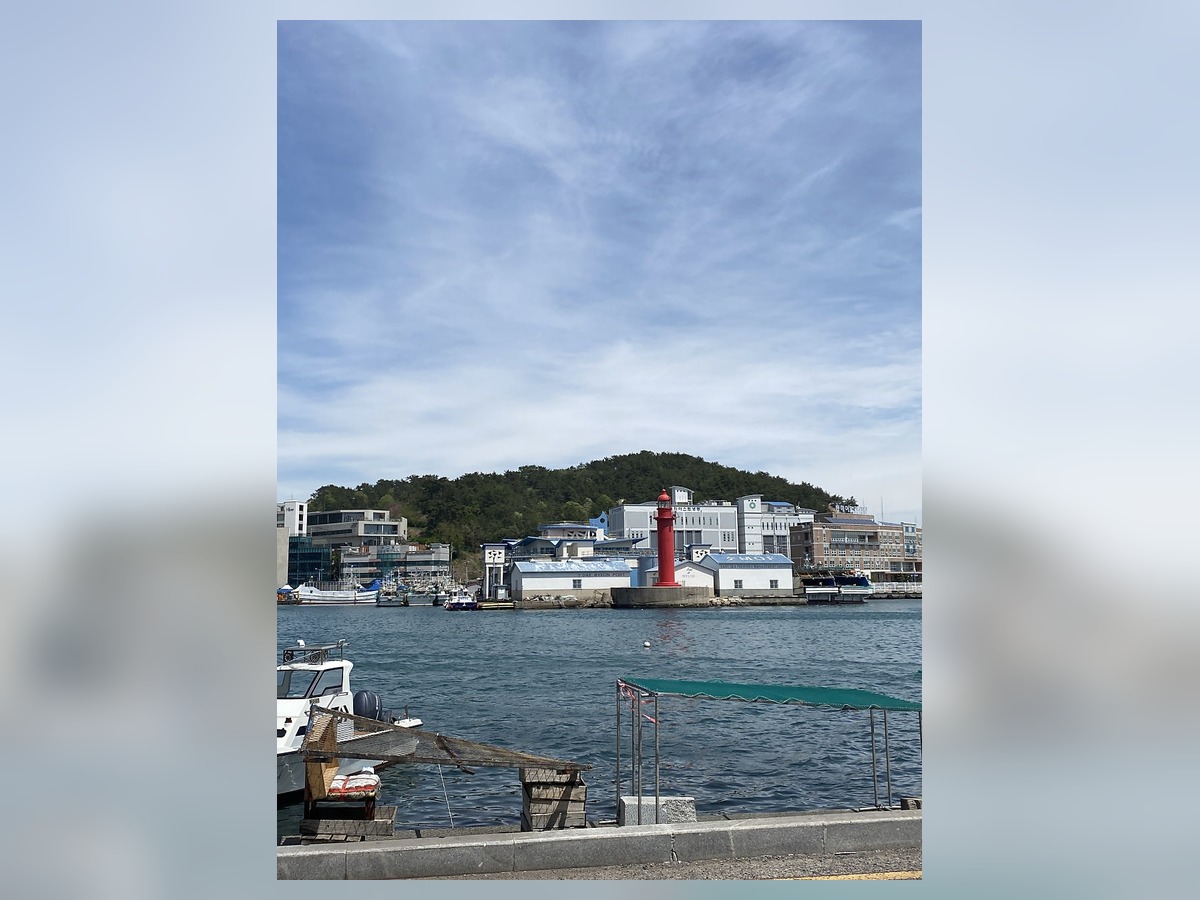대변항