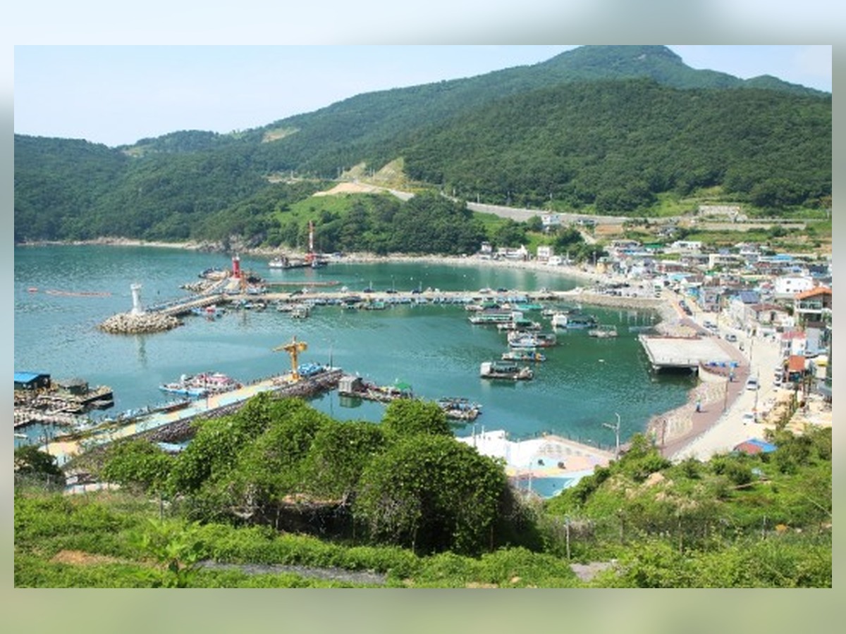 대항항