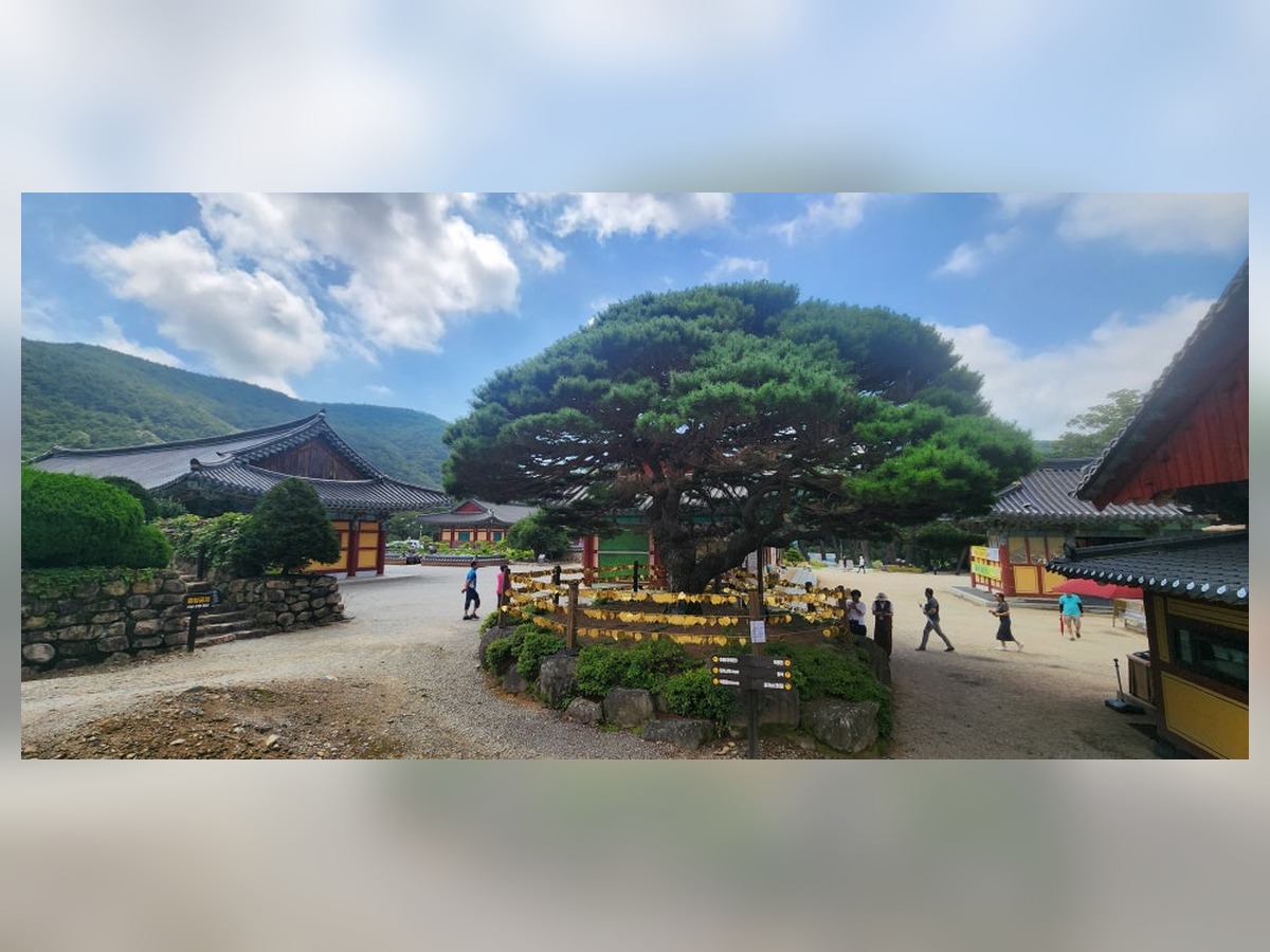 보경사