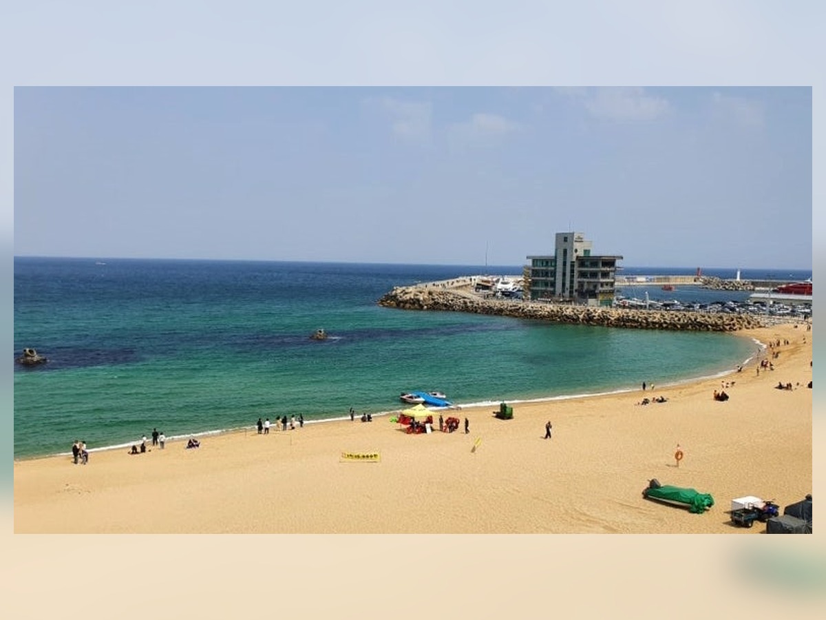 안목해변
