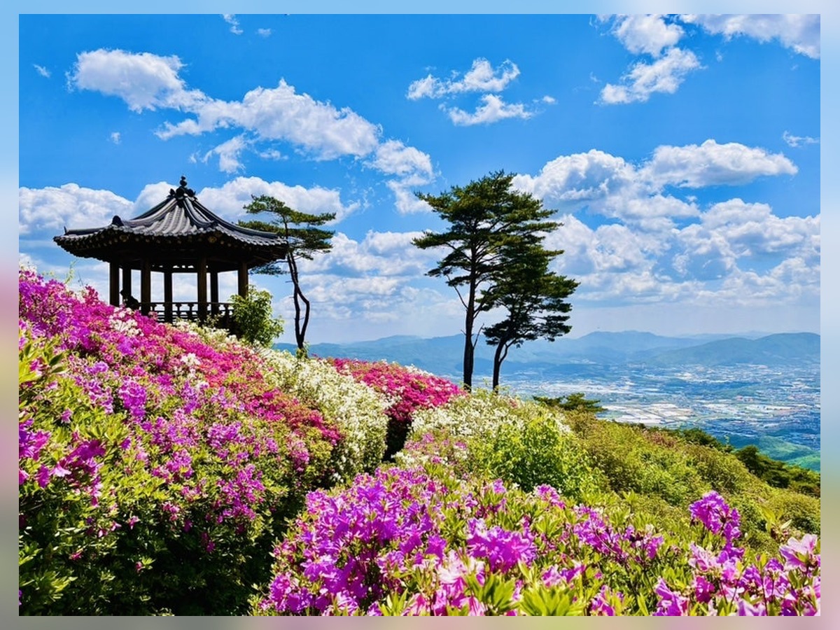 왕방산