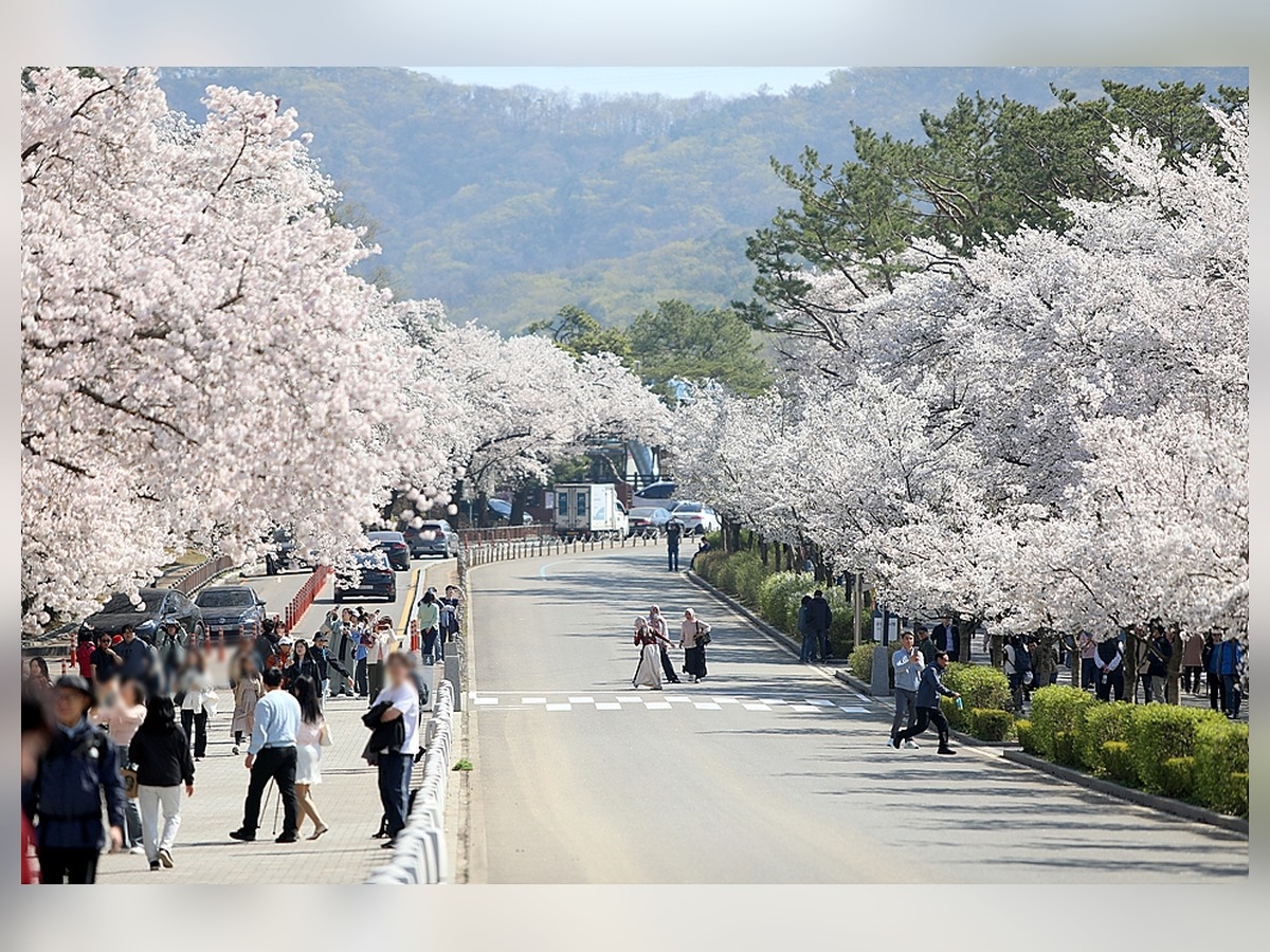 서울대공원