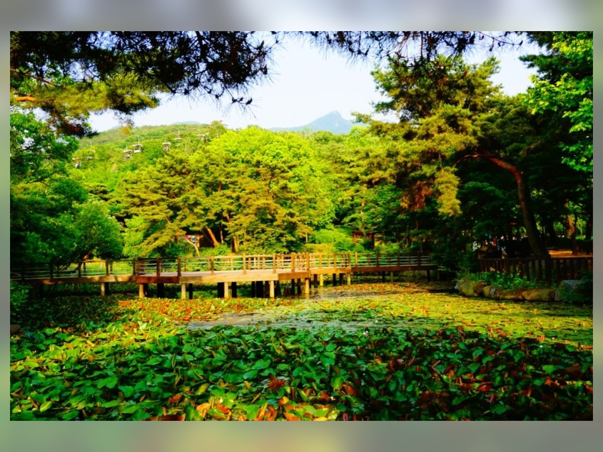 서울대공원 산림욕장