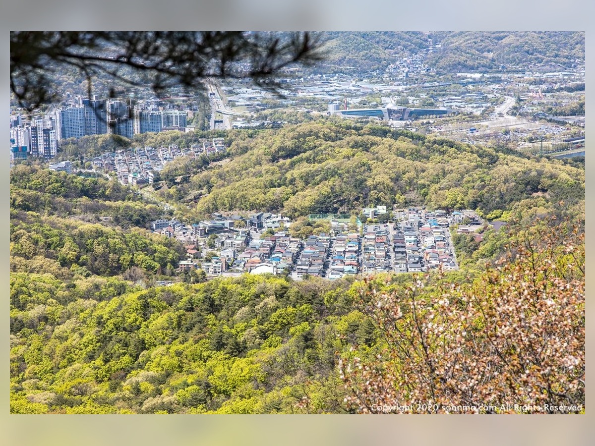 매봉산