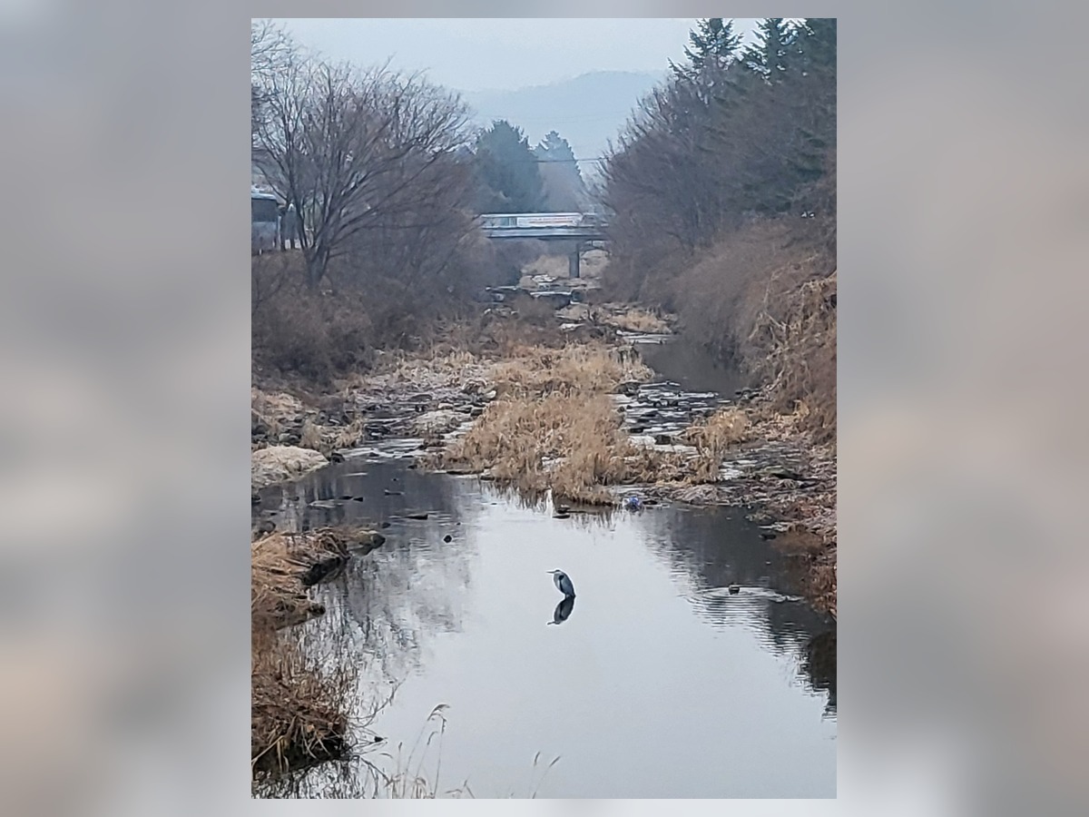 막계천