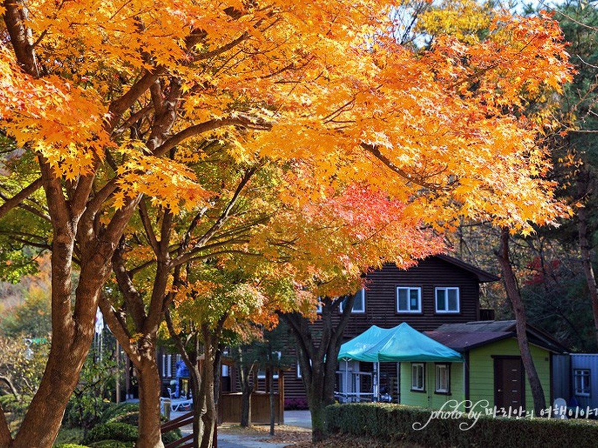 영인산수목원