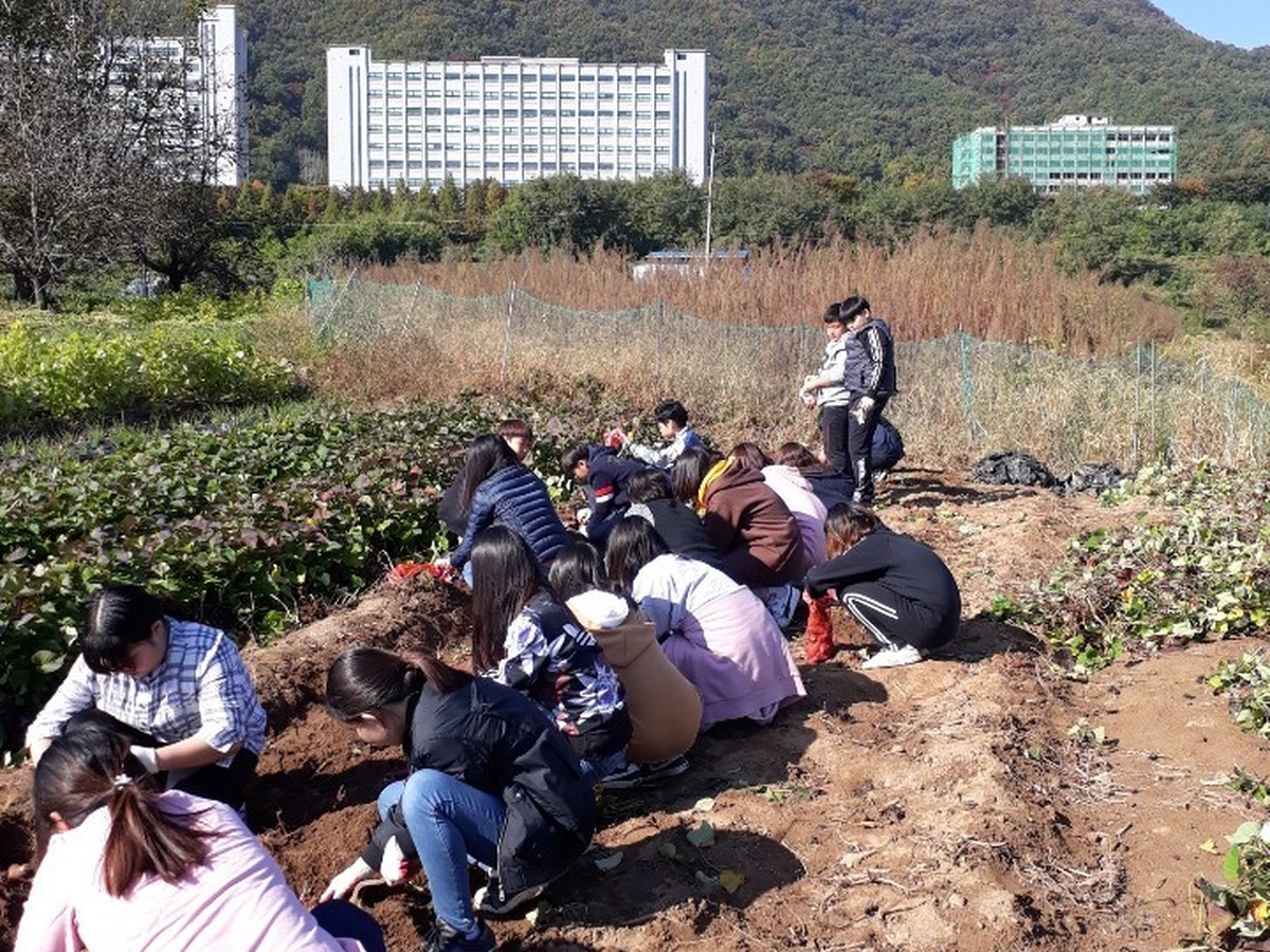 다라미자운영 농촌체험마을
