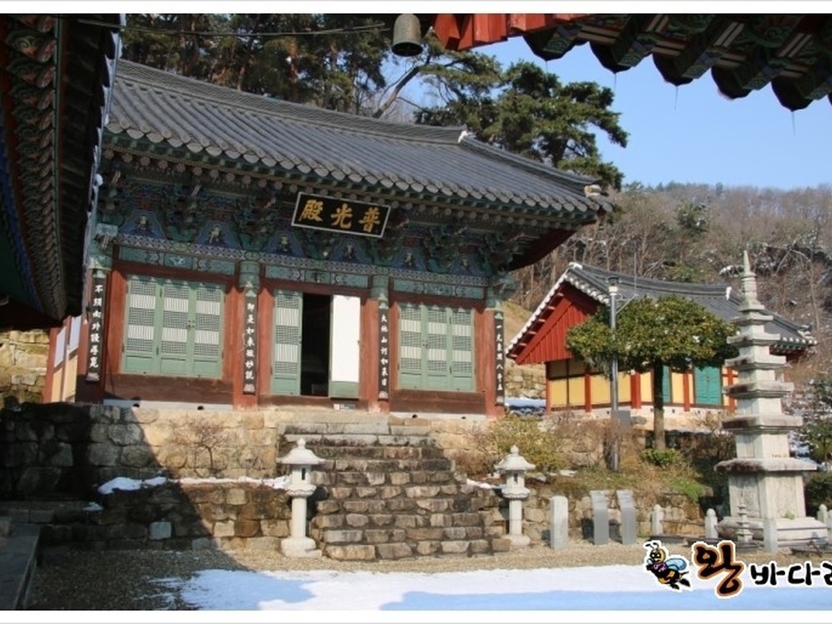 숭림사