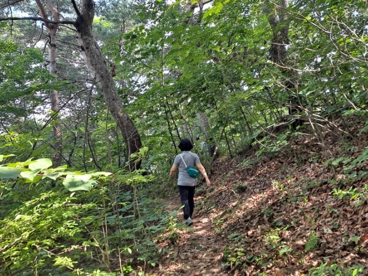 무성산