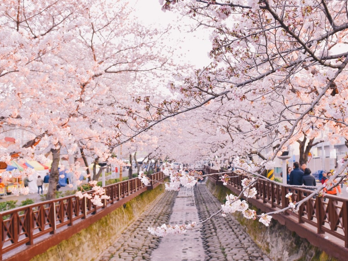여좌천 로망스다리