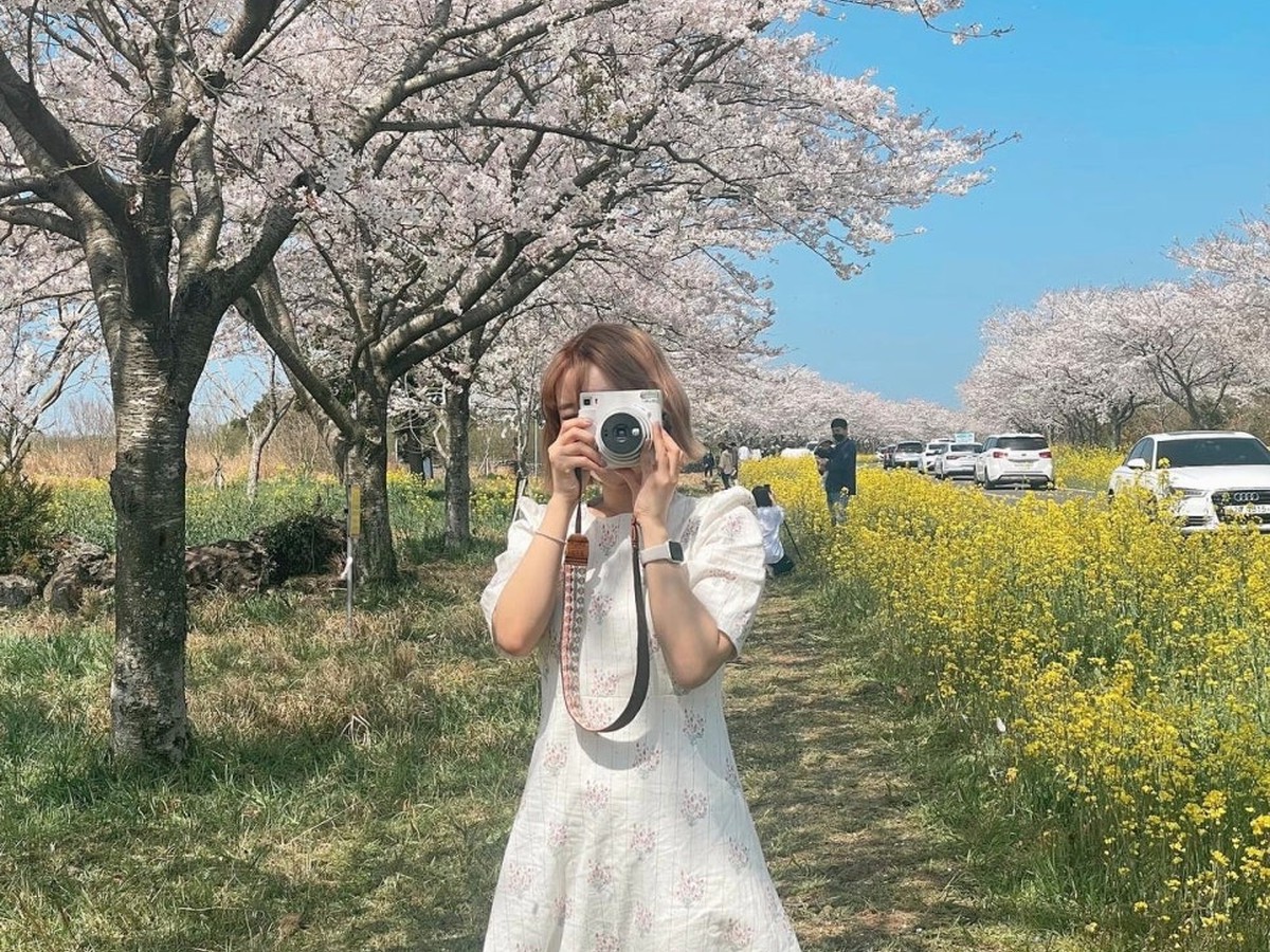 녹산로 유채꽃도로