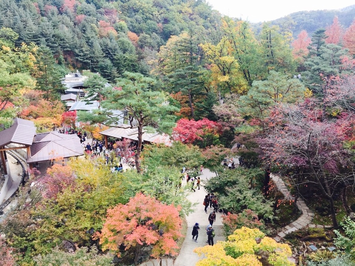 화담숲