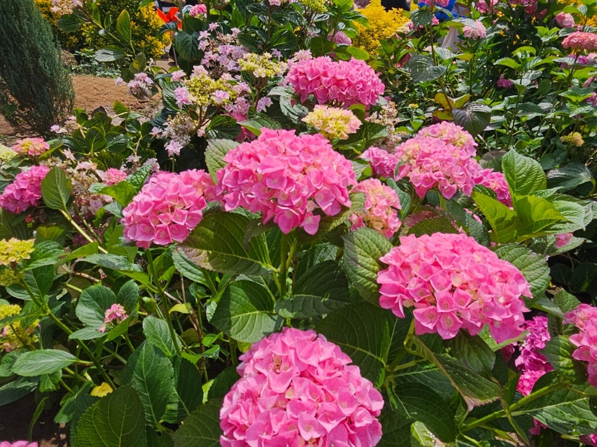 율봄식물원