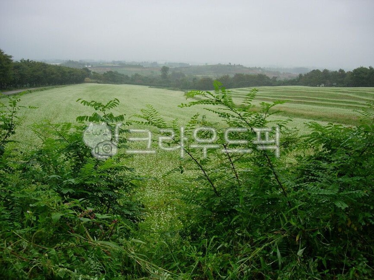 학원농장