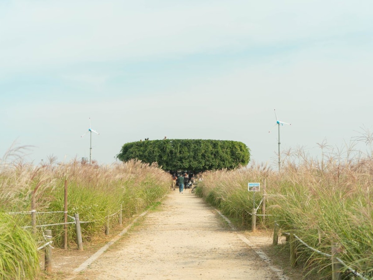 하늘공원