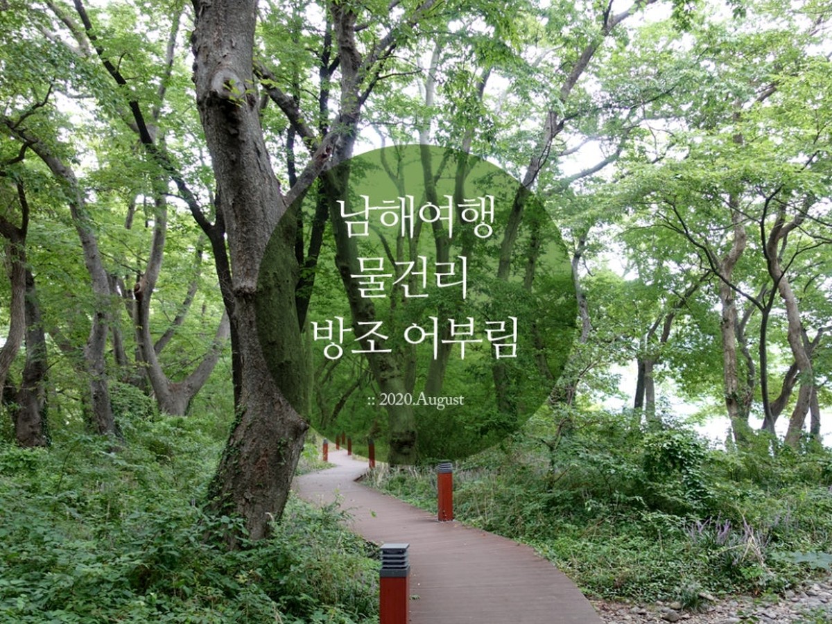 물건리 방조어부림