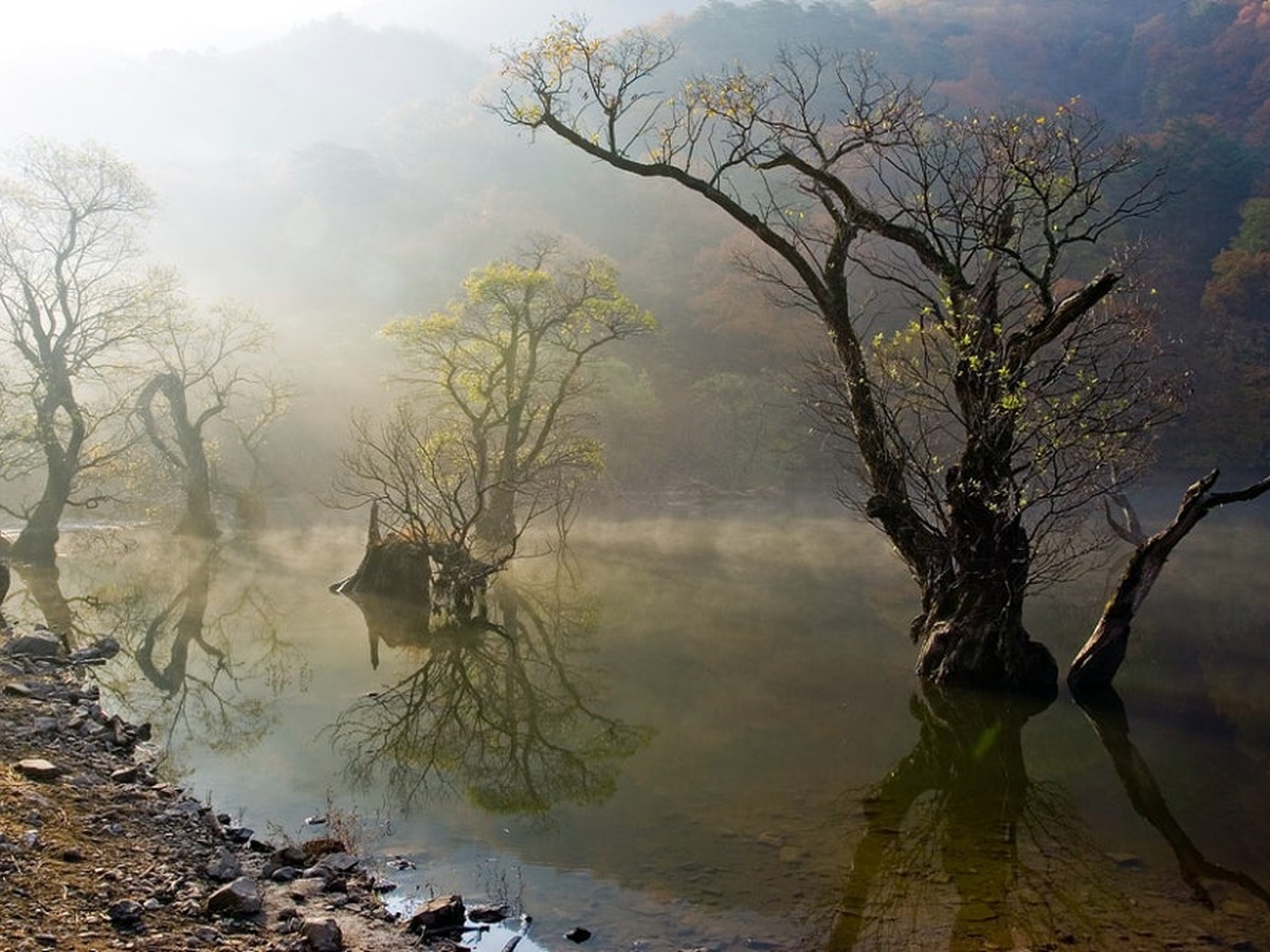 주산지
