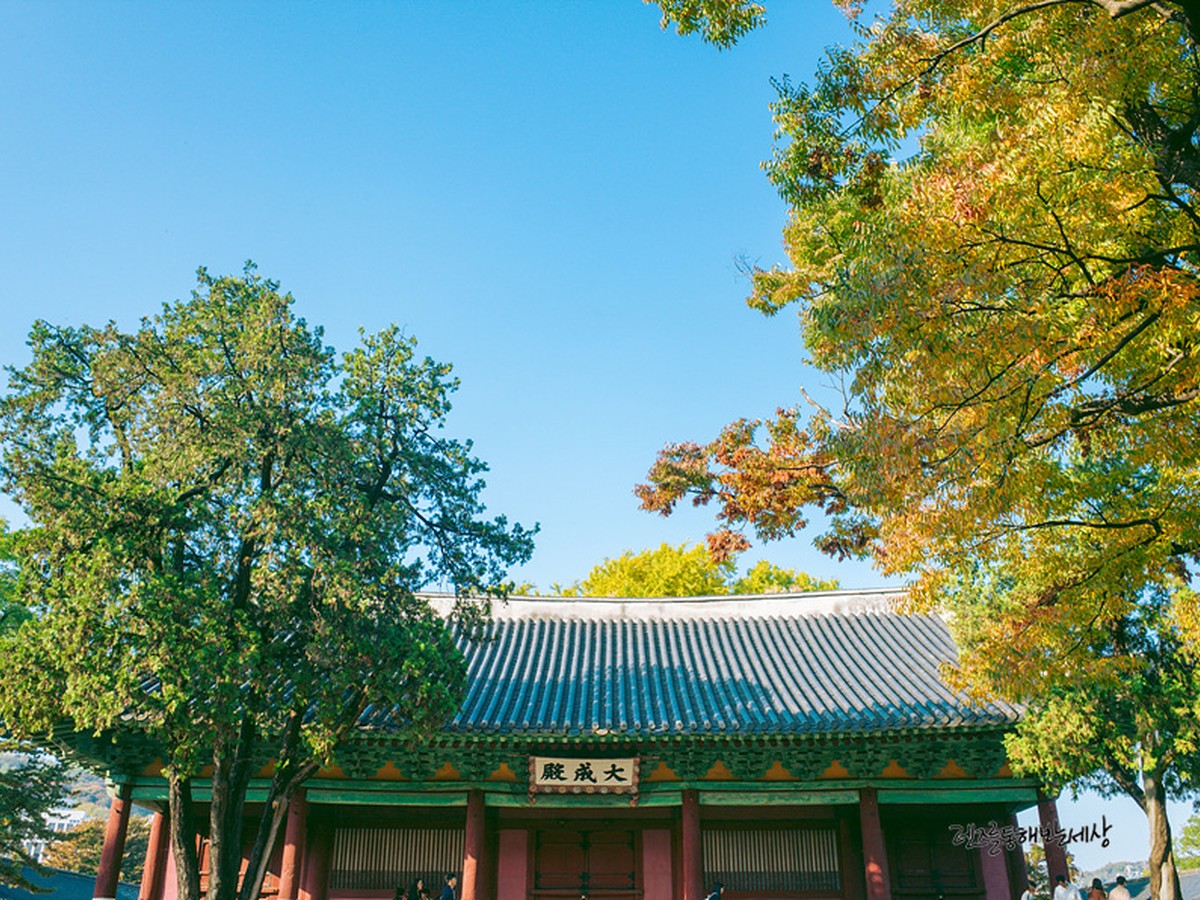 成均館大学 明倫堂