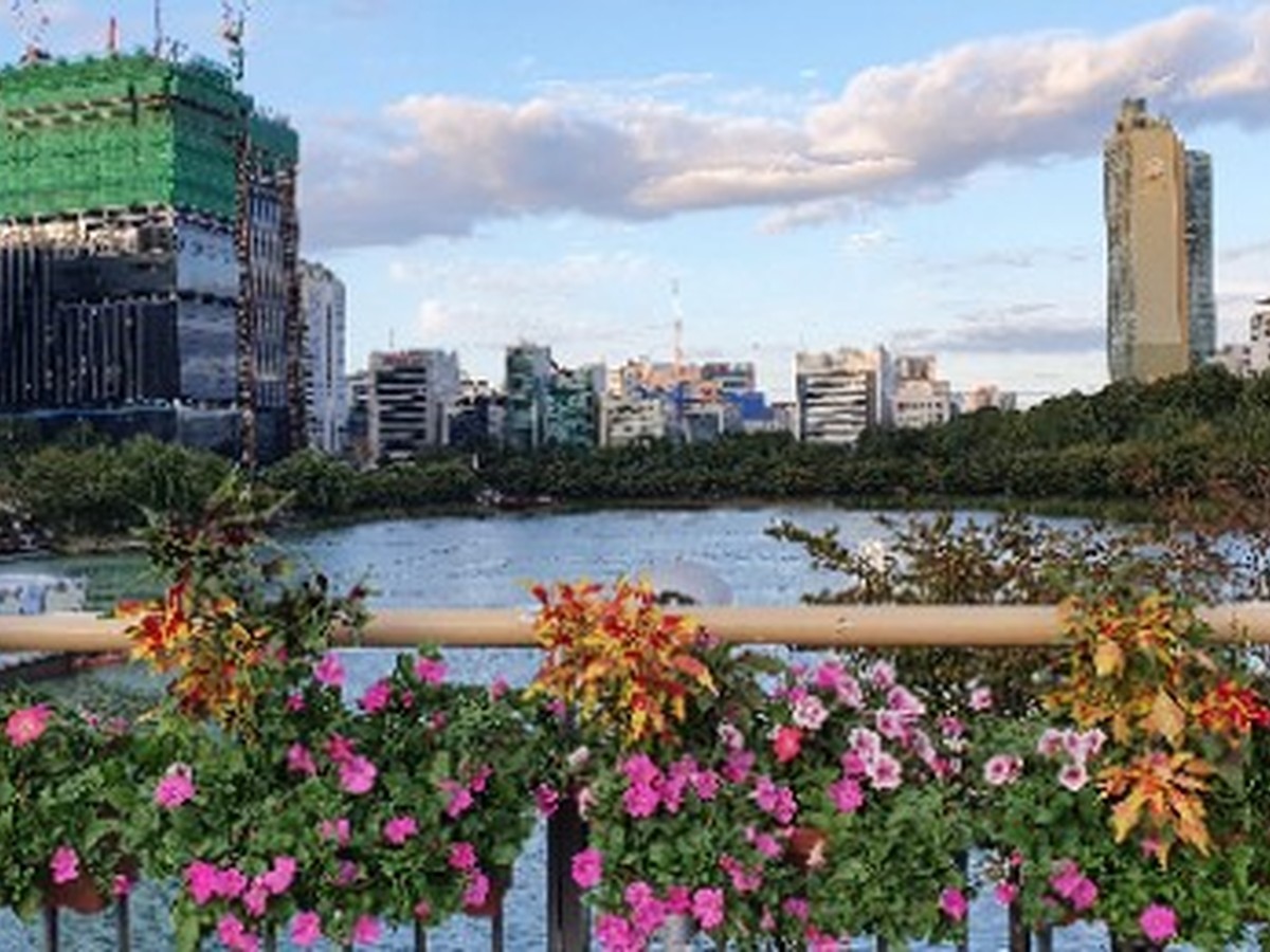 石村湖 東湖