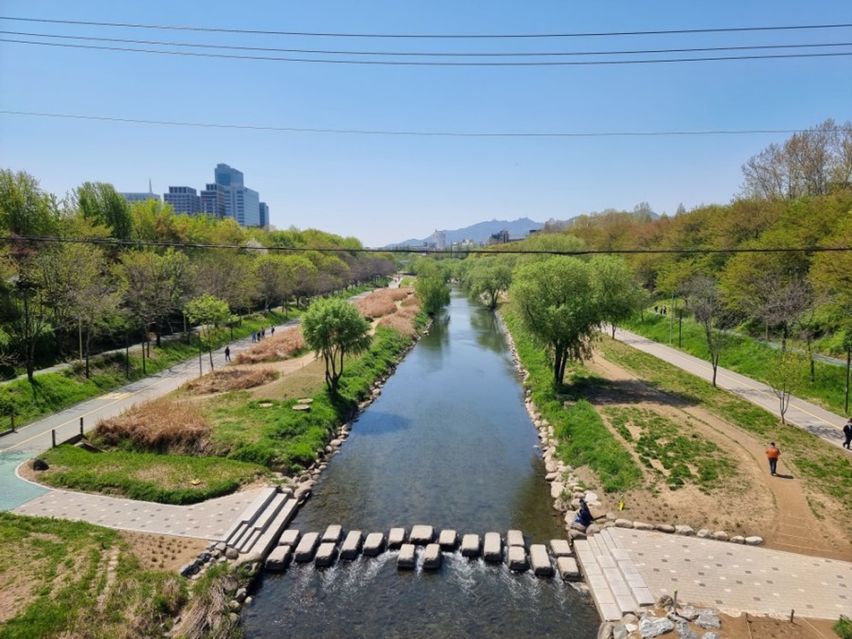 楊才川 永東2橋周辺
