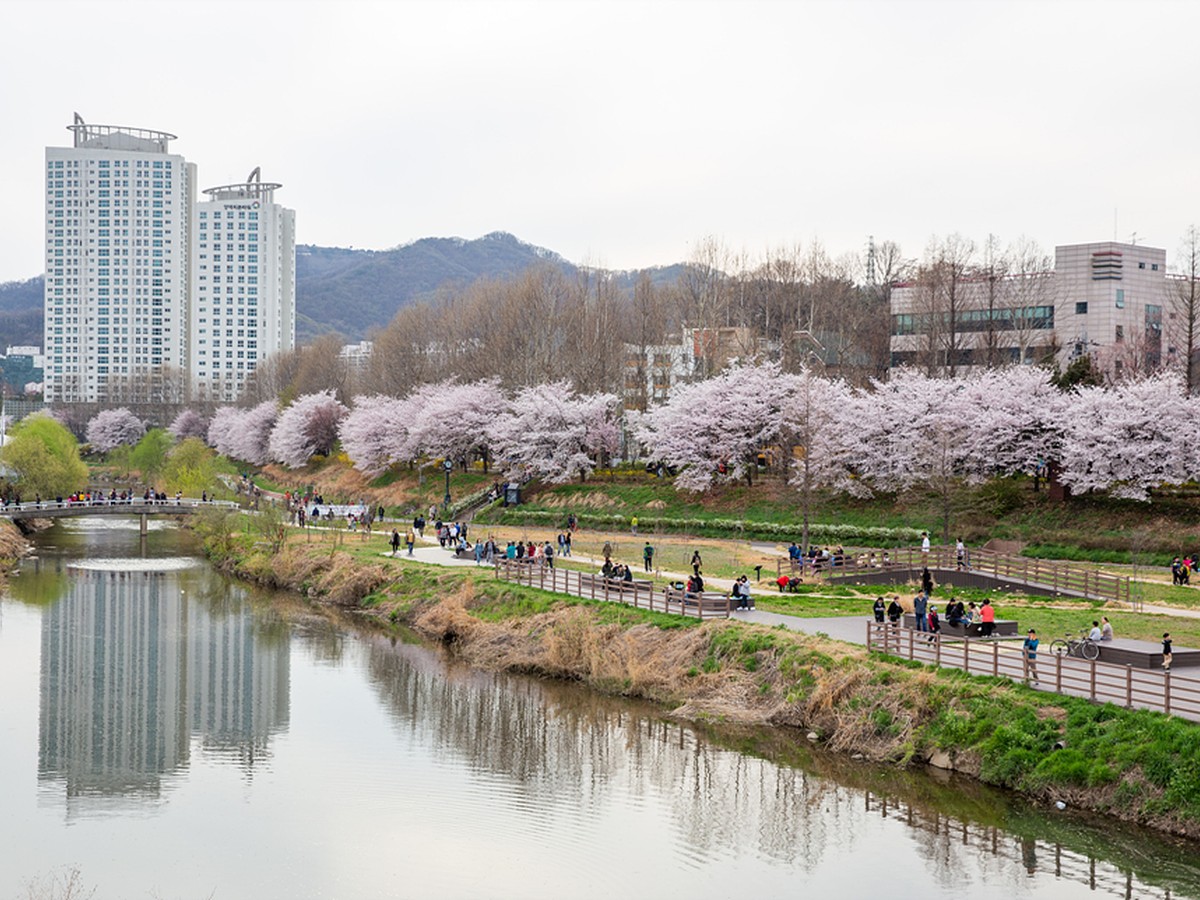 楊才市民の森
