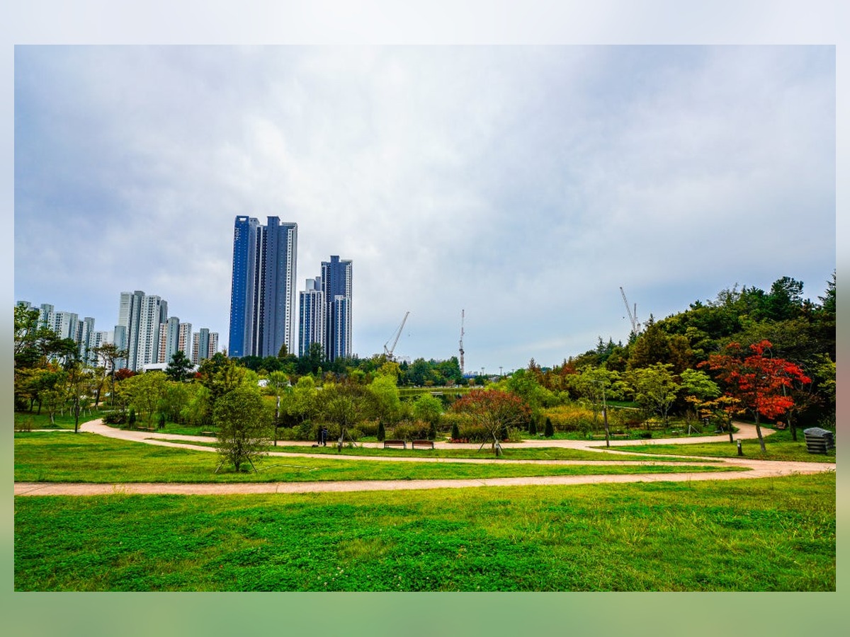 Sebyeong Park