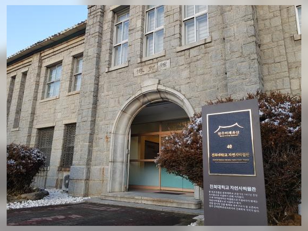 Jeonbuk National University Museum