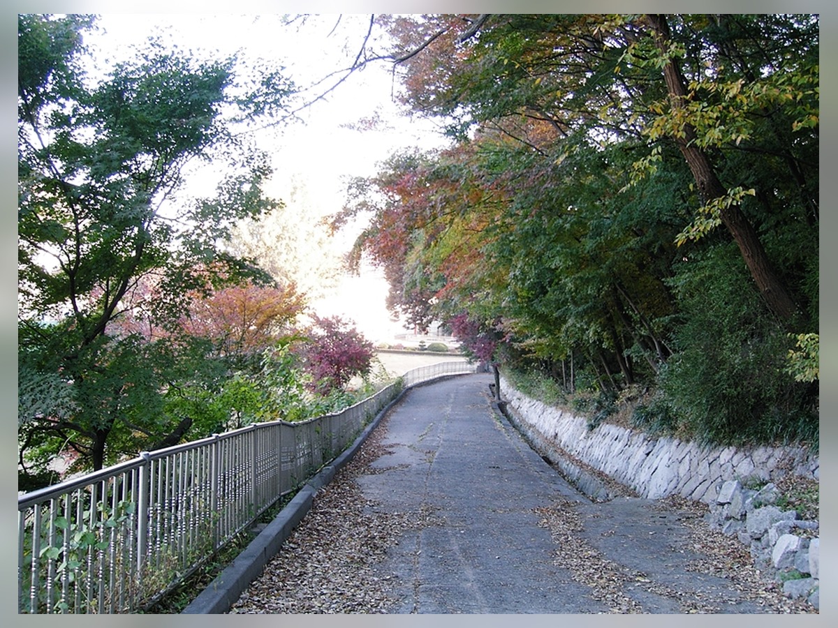 Daga Park