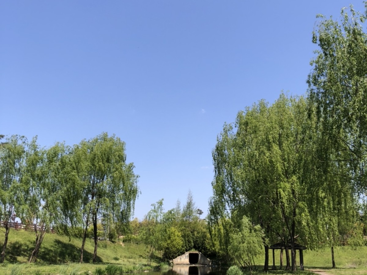 Yeobsun Neighborhood Park