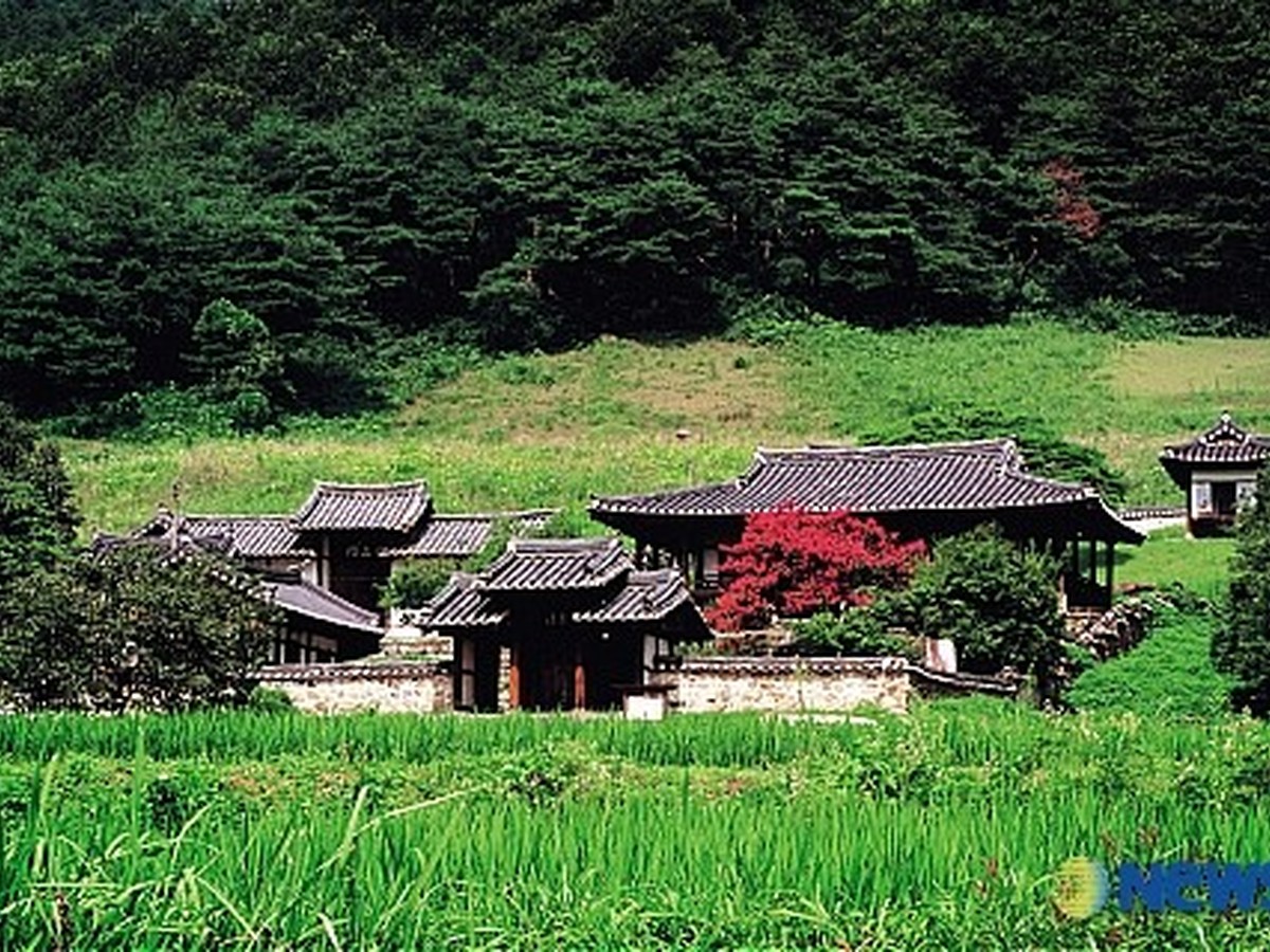 유회당